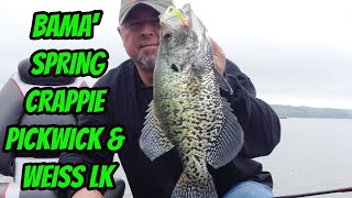 Bank Fishing for Crappie Wintertime Tactics and Catching Secrets [upl. by Dinny]