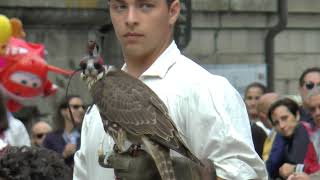 Vecchie Sagre  Larte dei Falconieri By Titano Video [upl. by Katushka428]