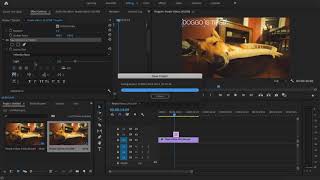 How to Add Text in Premiere Pro 2020 [upl. by Felicle623]