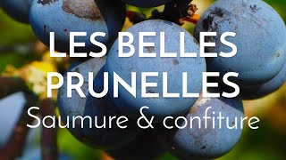 Les délicieuses prunelles du prunellier [upl. by Vesta]