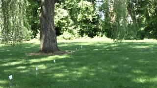 Critterfence DIY Deer Fence Garden Fence Dog Fence Cat Fence Installation Video [upl. by Lacagnia]