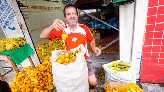 Tour of Manaus Brazil  Biggest City in AMAZON RAINFOREST  Wild Fruit Attractions and Dinner [upl. by Llertnad453]