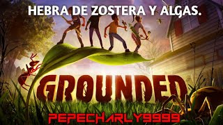 Dónde encontrar Hebra de zostera y algas en GROUNDED [upl. by Attikram81]