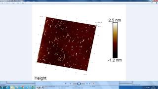 Using AFM NanoScope software V18 Part 1 [upl. by Cir]