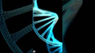 DNA Structure [upl. by Oderfla]