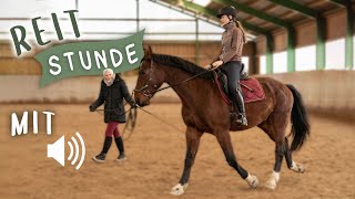 JUNGPFERD ANREITEN 🐴 Reitstunde mit Originalton [upl. by Alaaj]