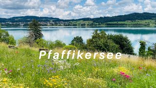 Pfäffikersee  One of the beautiful lake of Canton Zurich  Beautiful Switzerland  Swiss View [upl. by Byrom]