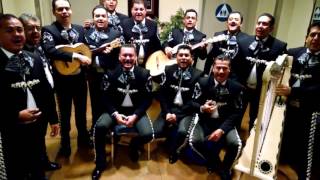 Mariachi Vargas Las Mañanitas [upl. by Shaff182]