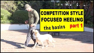 Competition Focused Heeling part 1 foundation  Dog Training Video [upl. by Carol-Jean]