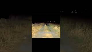 Avoid Abandoned Roads In Nights😱 ghost leftysays paranormal haunted [upl. by Alleras]