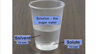 Solute and Solvent  Dissolving [upl. by Hoopen]