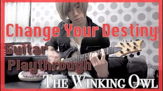 The Winking Owl  Change Your Destiny Guitar Playthrough [upl. by Urbannal]