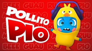 🐣 El Pollito Pio 🐥 Il Pulcino Pio 🐤 Official cover by Baby Moonies [upl. by Elrem173]