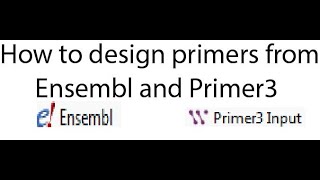 How to Design Primers with Ensembl and Primer3 [upl. by Anileuqcaj]