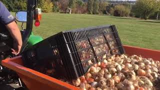 Planting flower bulbs by machine [upl. by Glynis]