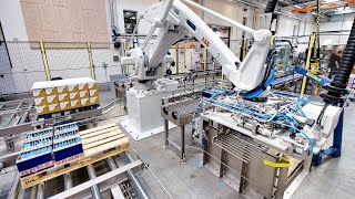 Fully automatic robot palletising system for boxes [upl. by Yarak]