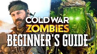 Cold War Zombies BEGINNERS GUIDE Everything EXPLAINED Black Ops Cold War Zombies GUIDE [upl. by Ecinnaj795]