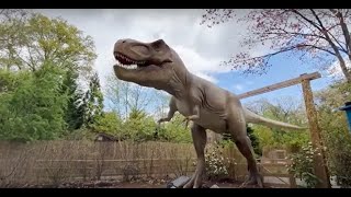 Dinosaurs Among Us at Roger Williams Park Zoo [upl. by Adlin]