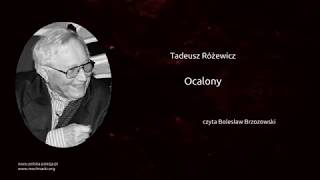 Tadeusz Różewicz  Ocalony [upl. by Brote]