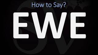 How to Pronounce Ewe CORRECTLY [upl. by Clim776]