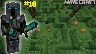 Minecraft ANGRY WOLF MAZE CHALLENGE EPS7 18 [upl. by Nnyleimaj]