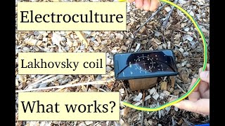 Electroculture  Lakhovsky Coil  Effects of wire selection orientation [upl. by Conlee]