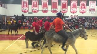 Donkey Basketball [upl. by Ammadas840]