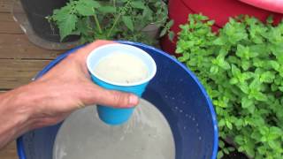 Tomato Blossom EndRot Emergency Treatment amp Prevention with Lime  The Rusted Garden 2013 [upl. by Ahsaten]