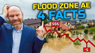 Flood Zone AE 4 Strategies to Maximize Savings [upl. by Ahseek]