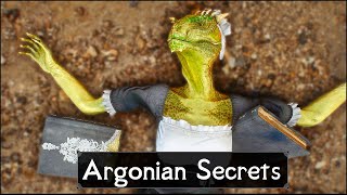 Skyrim 5 Things They Never Told You About Argonians [upl. by Nosyaj67]