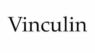 How to Pronounce Vinculin [upl. by Accever]