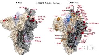 Why are COVID cases still going up in Michigan despite vaccine availability [upl. by Elodia]