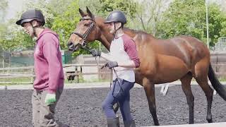 Studying Equine Management at Cirencester College [upl. by Kahler]