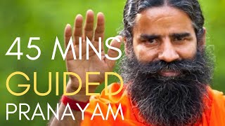 45 Minutes Guided Pranayam with Timer Swami Ramdev Baba [upl. by Aborn464]