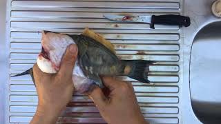 How to Clean a Leatherjacket Fish [upl. by Alekin]