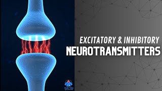 Excitatory and Inhibitory Function of Neurotransmitters  Synapse  Dr Krunal Dabhi [upl. by Tnomal]