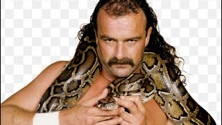 Jake The Snake Roberts Figur🔥🔥🔥🔥🔥 [upl. by Akiret]