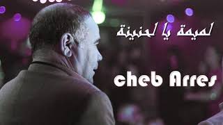 الشاب عراس لميمية يالحنينة  Cheb Arres 2019  Loumima [upl. by Htiffirg437]