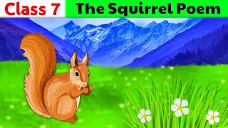 The Squirrel Poem Class 7  class 7 english poem the squirrel  हिंदी मे  Animated Poem [upl. by Swaine]