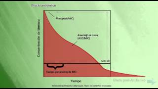 Farmacocinética Farmacodinámica Antimicrobianos [upl. by Arbe]