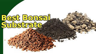 What is The Best Bonsai Substrate Understand bonsai substrate [upl. by Nnawaj]