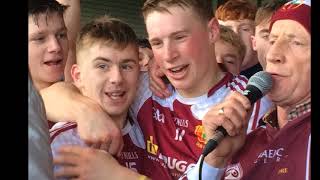 Dr Harty amp Croke Cup Champions 2017 [upl. by Ephram534]