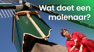 Wat doet een molenaar [upl. by Ecitnirp]