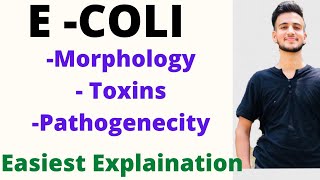 Sterilization and disinfection microbiology  Sterilization in hindi  Method Of Sterilization [upl. by Ieppet409]