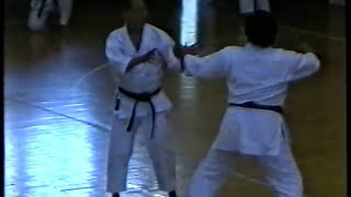 Tetsuhiko Asai and Masaki Watanabe kumite demonstration [upl. by Triny]