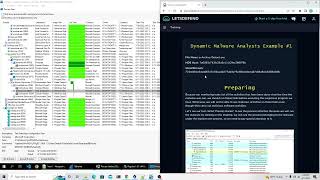 Dynamic Malware Analysis [upl. by Nidla]