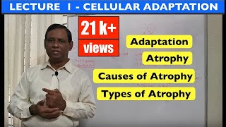 General Pathology  Lecture 1  Introduction and Cellular adaptation [upl. by Sorci613]