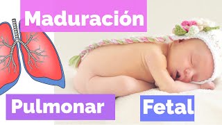 Maduración Pulmonar Fetal [upl. by Anneiv]