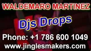 WALDEMARO MARTINEZ  DJs DROPs [upl. by Eisdnyl62]