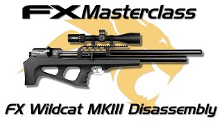 FX Wildcat MKIII Disassembly  FX Masterclass [upl. by Nelle638]